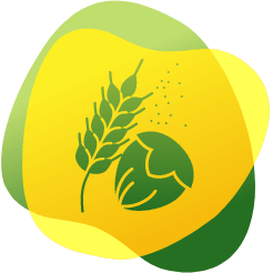Ikona pszenicy i orzecha laskowego jako przykład produktów powodujących alergie pokarmowe