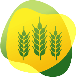 Ikona pszenicy jako pokarmu, który może powodować gazy i wzdęcia u osób z nietolerancją glutenu